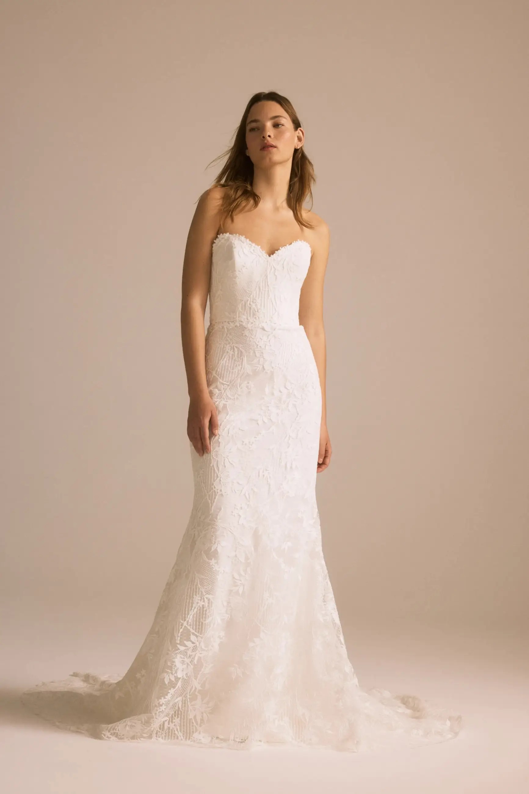 Amsale 2026 Trunk Show